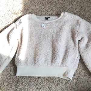 cream fuzzy Express sweeter